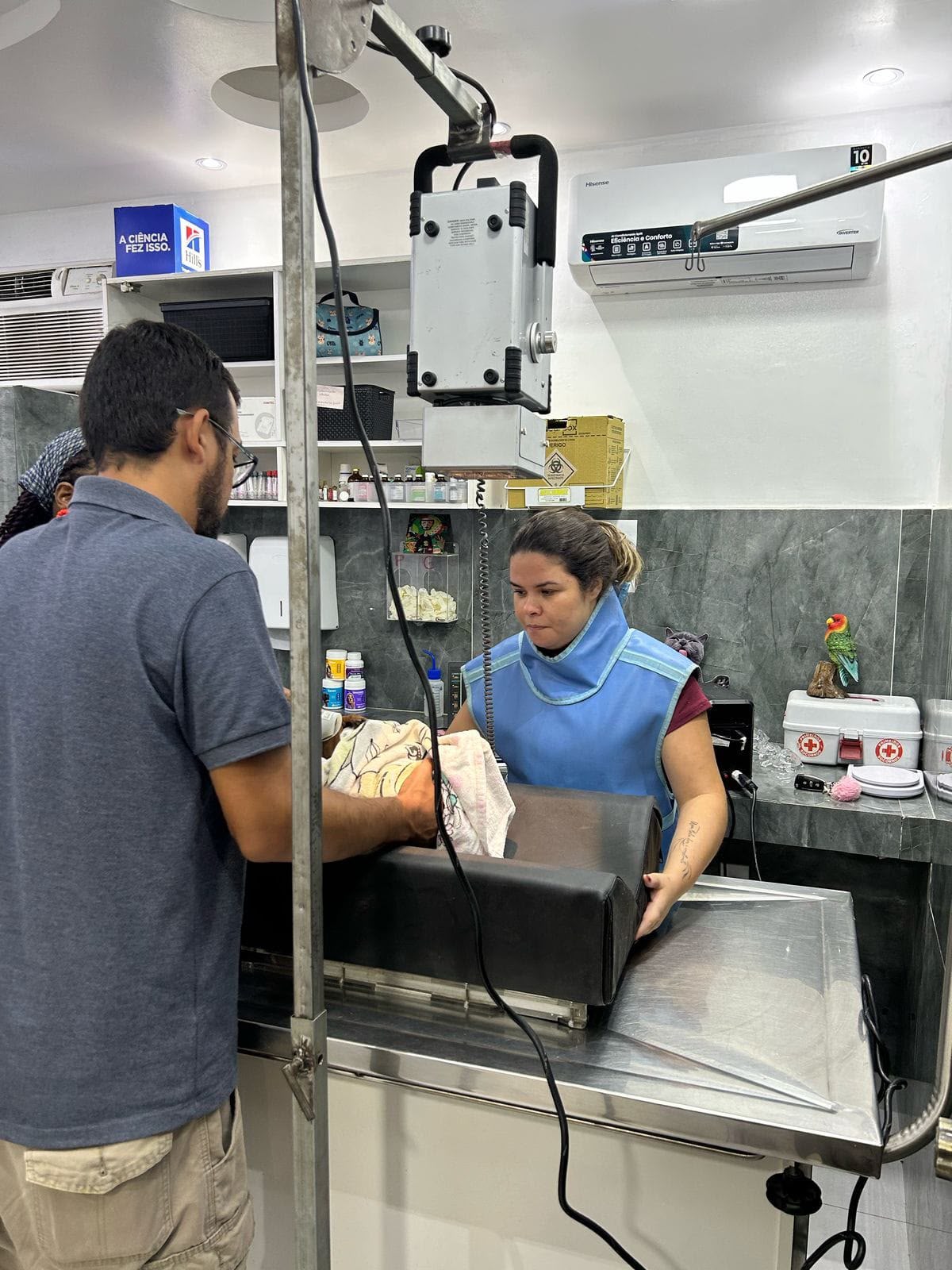 Equipe veterinária realizando cuidados com um paciente